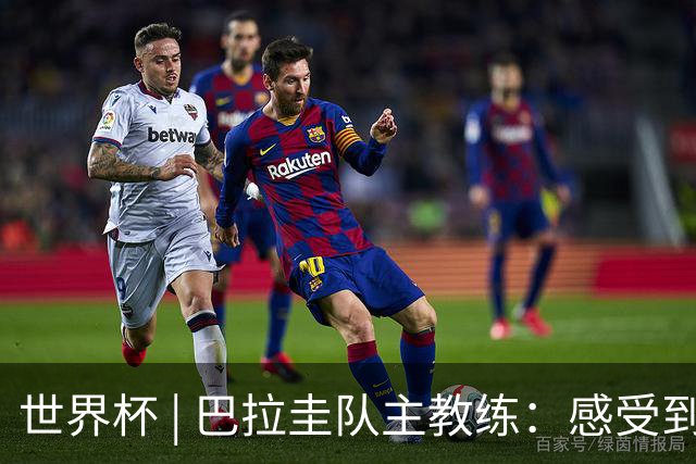 世界杯 | 巴拉圭队主教练：感受到比赛的极致压力